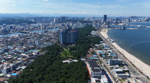 시민이 함께 가꾼 도시숲, 포항 생태·문화 명소로