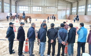 장애인 승마 체험활동