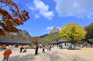 주왕산 단풍 인기