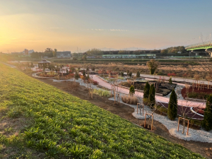 대구 동구, 불로천 생활밀착형 숲(실외정원) 조성 완료