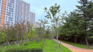 ‘2025년 녹색도시 우수사례’ 공모 최우수상