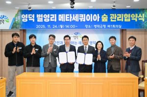 영덕군, 벌영리 메타세쿼이아 숲 관리 협약 체결