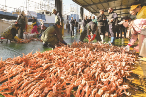 영덕 수산물 유통 핵심 거점 강구수협 총체적 난국...