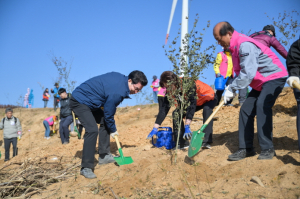산불 대재앙...한 그루 나무 울창한 숲 만든다