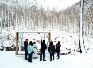 영양 자작나무숲 브랜드 가치 한층 높인다