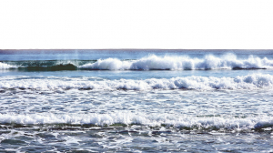 2025 靑巳가 떠나간다.