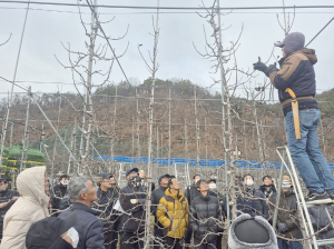 새해농업인실용교육 도내 전 시군서 진행