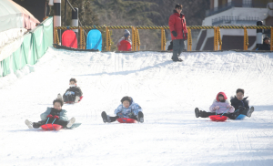 테마파크 눈썰매 인기