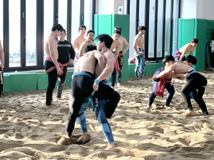 의성, 국내 씨름단 동계 전지훈련 유치