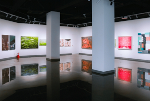 서구문화회관, 신년기획전 'Spring Star' 개최