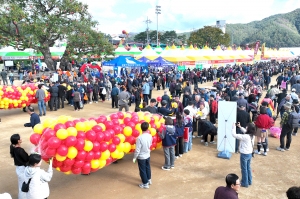 청송사과축제, 문화관광축제 선정