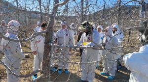 김광열 열덕군수, 과수화상병 유입 막아라 특명