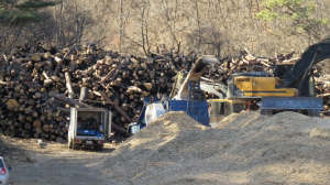 영덕군 A파쇄업자 봐주기 논란 넘어 특혜의혹?