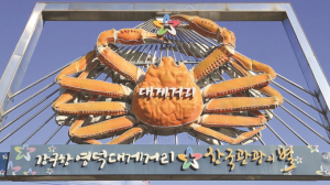 강구대게 거리 호객·바가지요금 뿌리 뽑힐까?