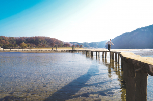 영주 전통문화, 로컬100 선정으로 전국적 주목