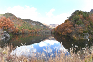 사계절 머무는 힐링도시 청송, 관광거점도시 도약