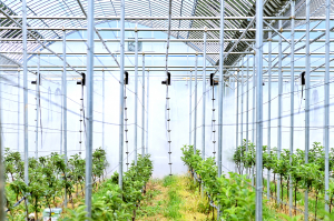 첨단 스마트팜 도입 사과 산업의 새 동력