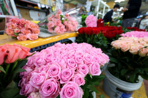 봄으로 들어가는 '우수(雨水)'