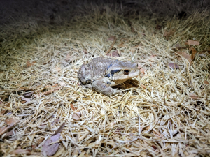 뚜비, 망월지 첫 나들이