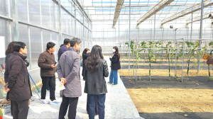 영천 스마트팜, 청년농 육성·미래농업 모델로 주목