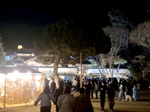 도산서원 야간개장 ‘매화춘야’, 이번 주말 ‘절정’