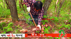 [영덕군 민선 8기 성과 분석] 민선 8기 공약사업 이행률 63%, 연도별 목표달성 100%