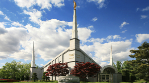 성도 교회, 영덕 산불 이재민 쌀 지원