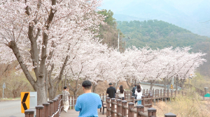 인촌지 생태공원, 자연·역사 어우러진 봄 명소‘주목’