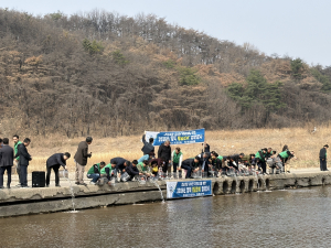 황금 은어 40만 마리 방류 청정 영덕 상표 가치 제고