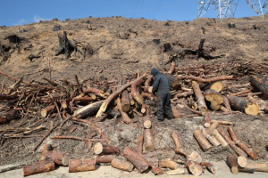 1조원 넘게 쏟아부었지만···대형산불 막을 구조는 '아직'