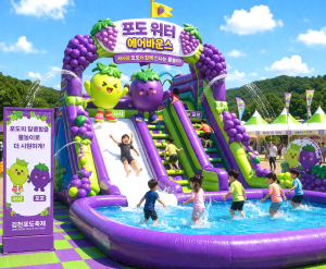 김천포도축제, 전국 대표 여름 축제 도약 준비