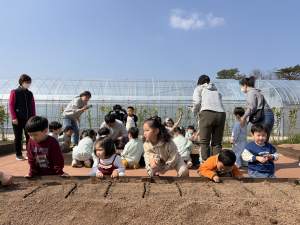 고사리손으로 감자 심기…“농부 고마움 배워요”