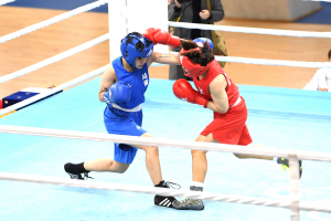 국내 최대 규모 복싱대회, 영주에서 막 오른다