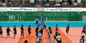 영덕군, 제64회 도민체전 축구 궁도 종합 1위
