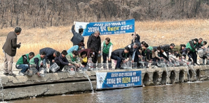 영덕군, 은어 포획 집중 단속