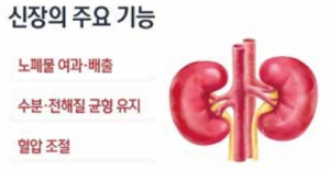 ‘콩팥병’ 환자 10년새 2배 늘었다