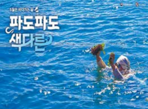‘5월은 바다 가는 달’…미식·체험·할인 풍성한 해양 관광