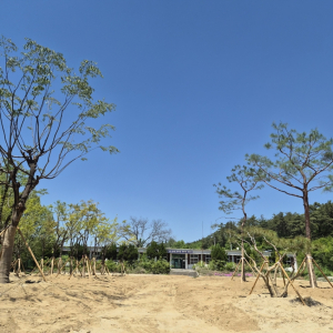 폐교부지 활용 ‘학교나무은행’ 조성 추진