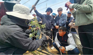 영덕군, 사과 전문가 육성 박차…