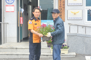 페튜니아 나눔 ‘경관개선·예산절감 효과’