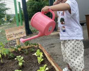 달성군 드림스타트 ‘치유농업’ 운영