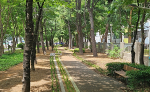 동구, 신기동 시설녹지 일원 정비