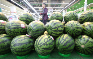 이른 더위로 수박 인기