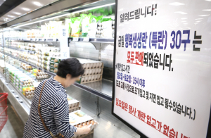 계란·닭고기·채소·생선가 상승… 더위에 물가 자극 우려