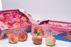 영덕군, 여름철 ‘복숭아장터’ 참여 농가 모집