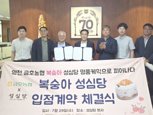 영천 명품 복숭아, 대전 명물 성심당과 만나다!