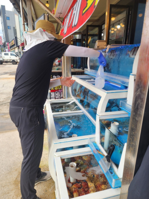 여름철 수산물 집중 안전관리 점검