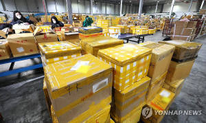 “내가 산 적 없는데”… 통관부호 도용의심 2년새 4.4배